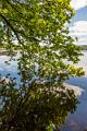 2019_05_31 _ Lac des Settons (0003)